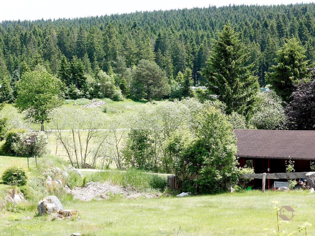 Appartamento Haus Doerflinger Schluchsee Esterno foto